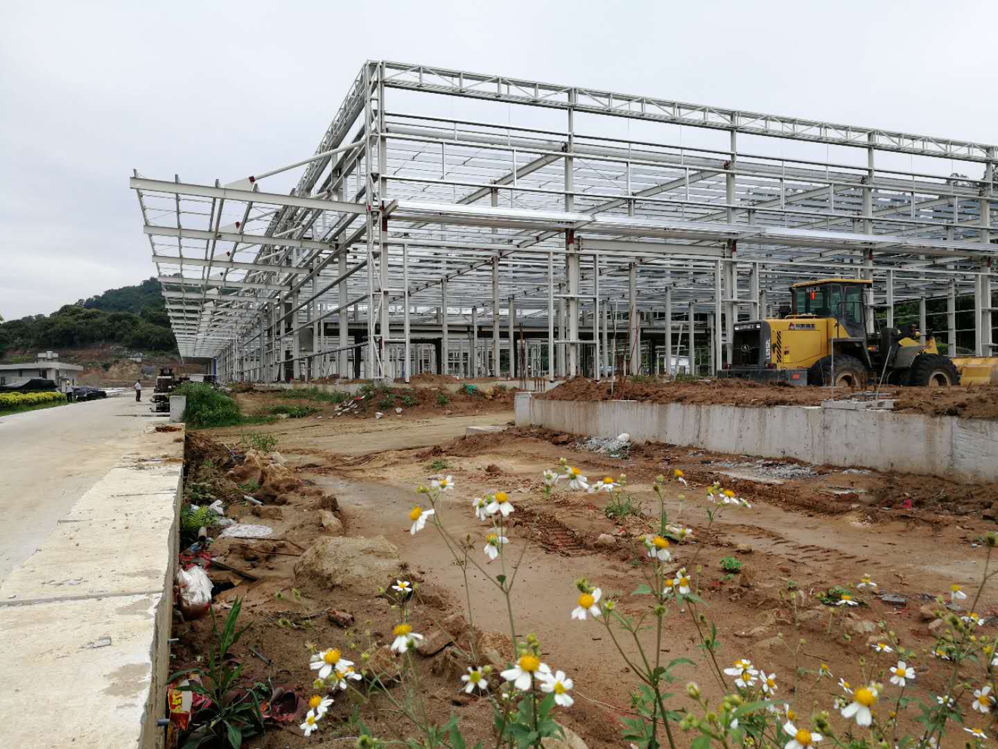 首页-乐鱼leyu官方网站