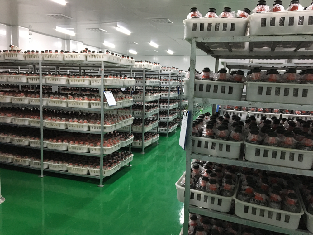 首页-乐鱼leyu官方网站