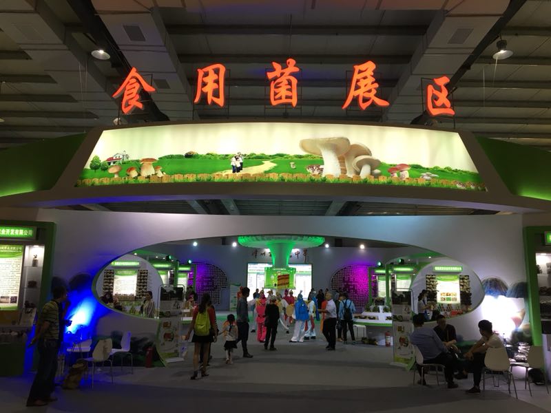 首页-乐鱼leyu官方网站