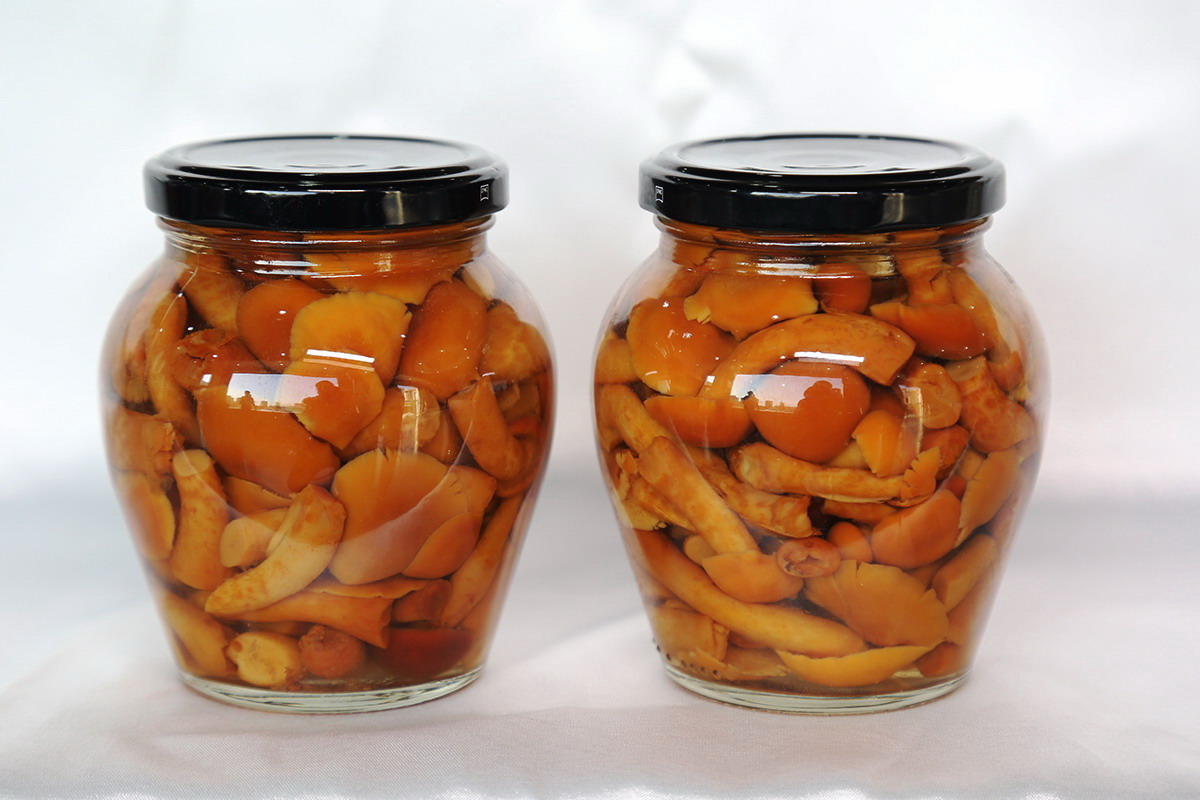 首页-乐鱼leyu官方网站