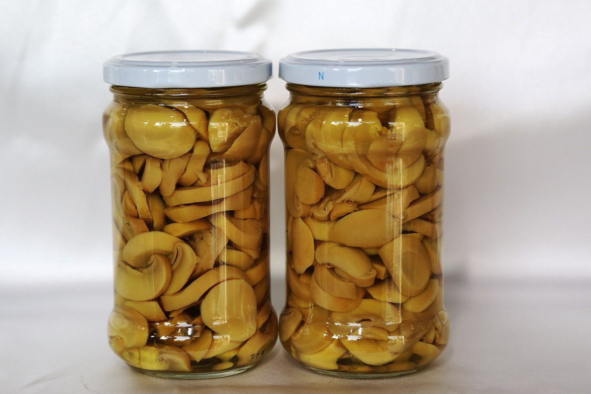 首页-乐鱼leyu官方网站