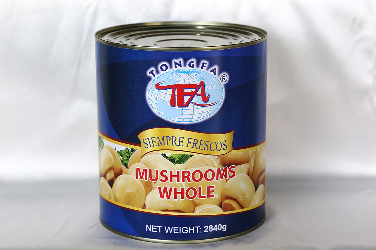 首页-乐鱼leyu官方网站